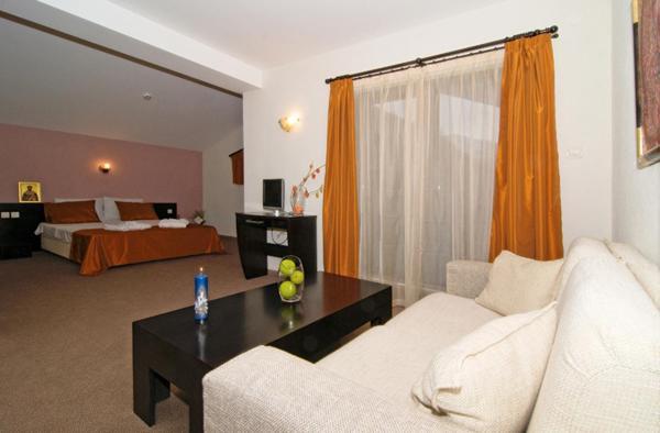 Spa Hotel Planinata Ribarica Pokój zdjęcie