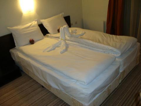 Spa Hotel Planinata Ribarica Pokój zdjęcie